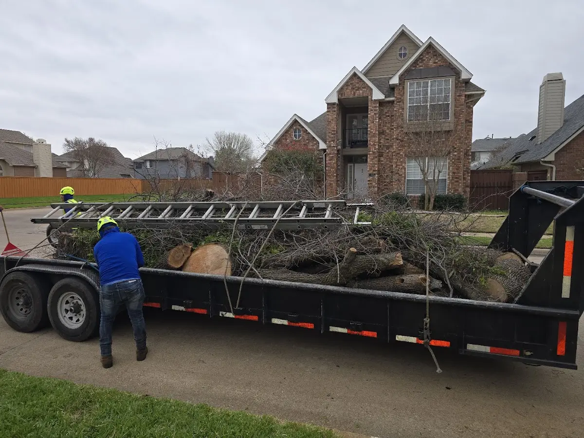 Expert Tree Fertilization with proper safety equipment in Fulton